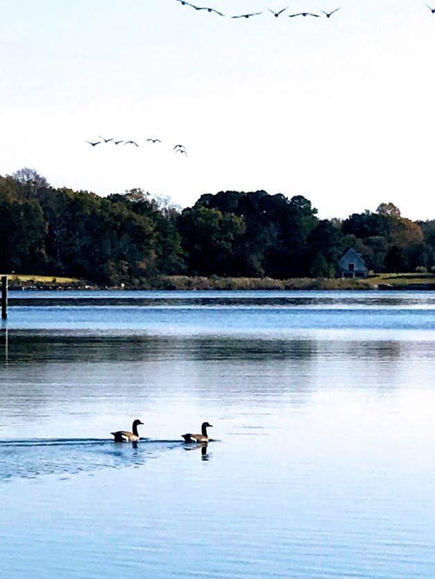 LND_820158AC-0F8A-43ED-9354-0A7E007F5559