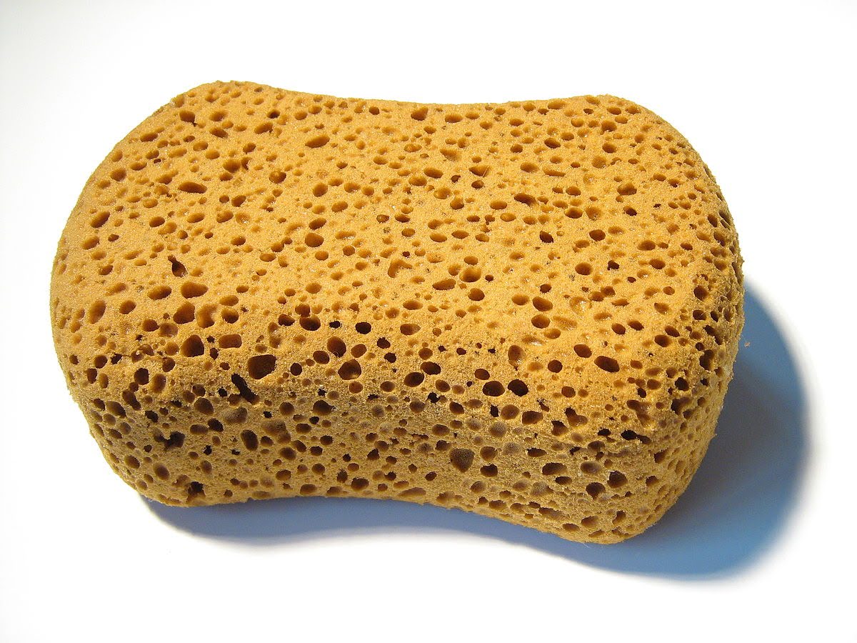 sponge-image