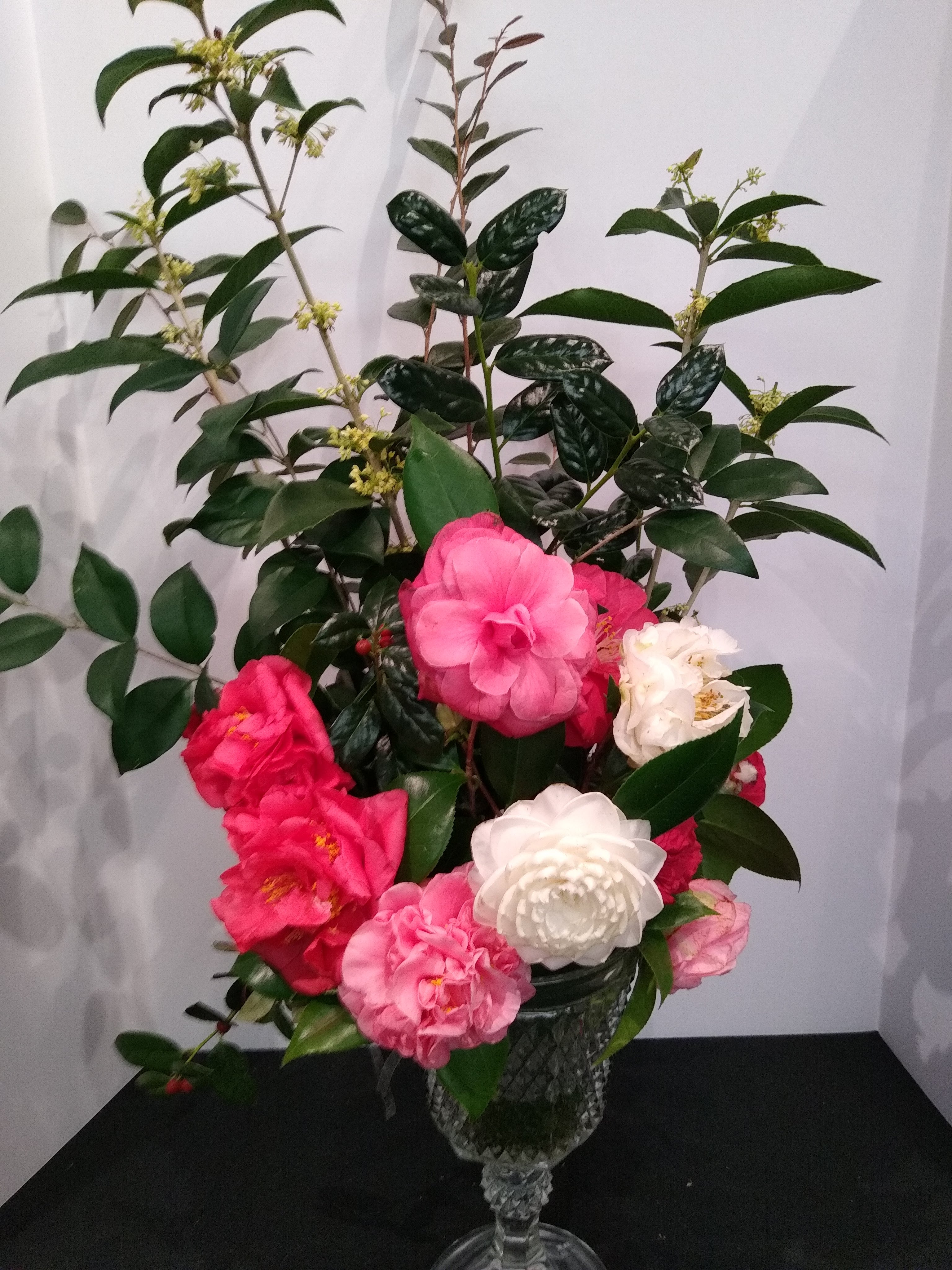 img_20200105_135652778