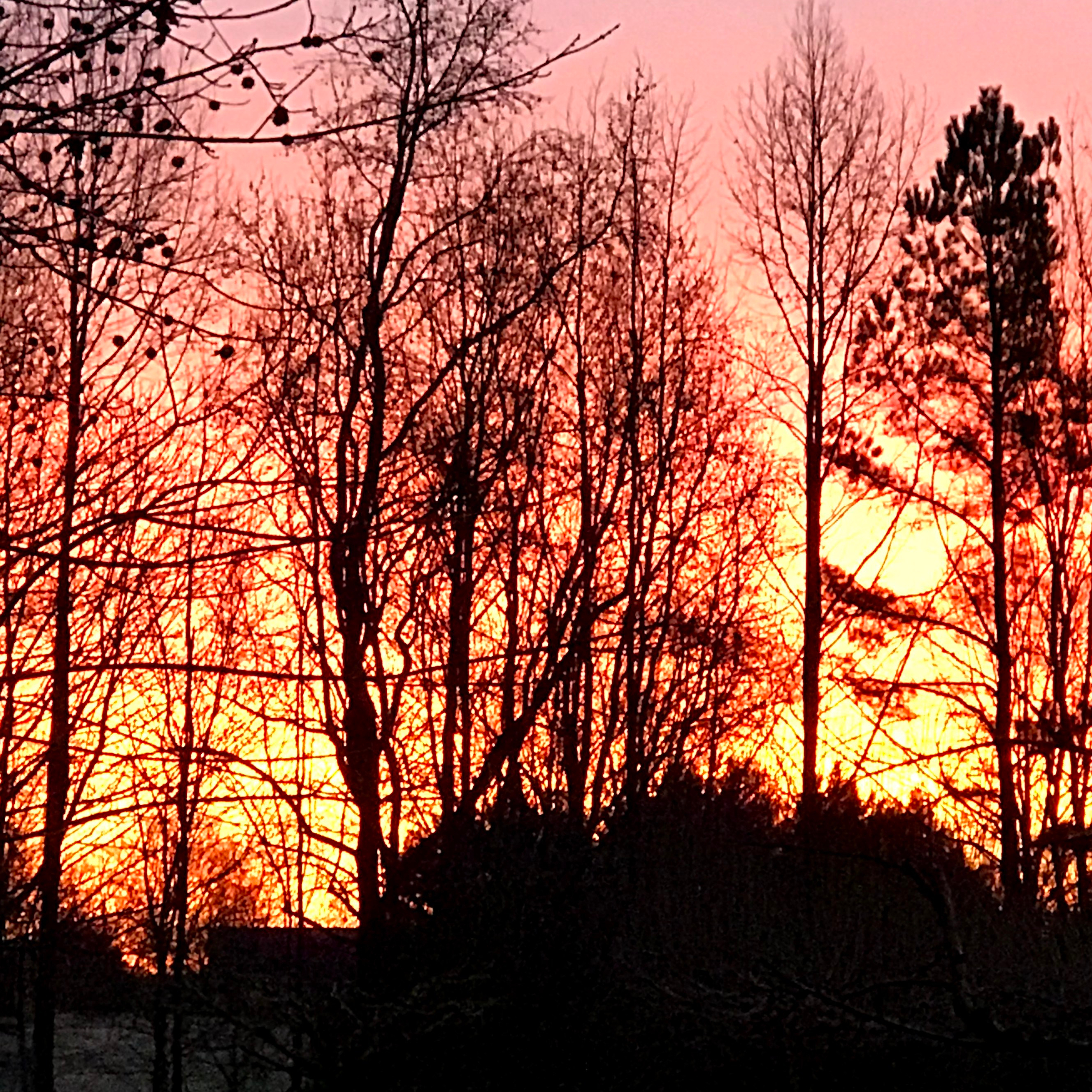 sunrise in Bradford Grove Place