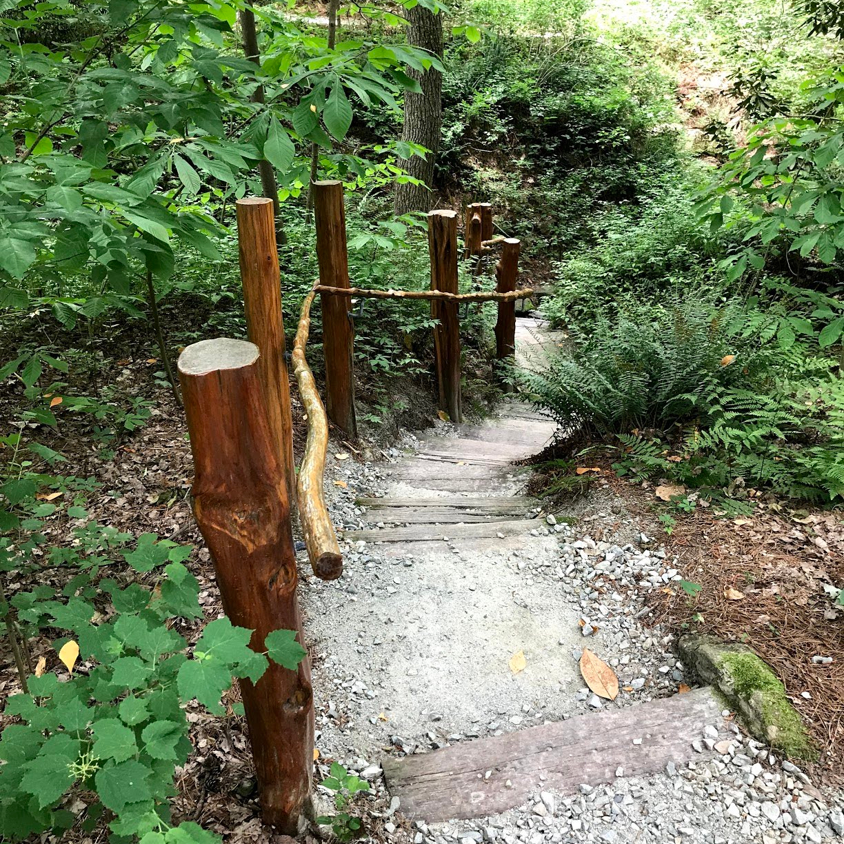 duke-gardens-path-may-2019