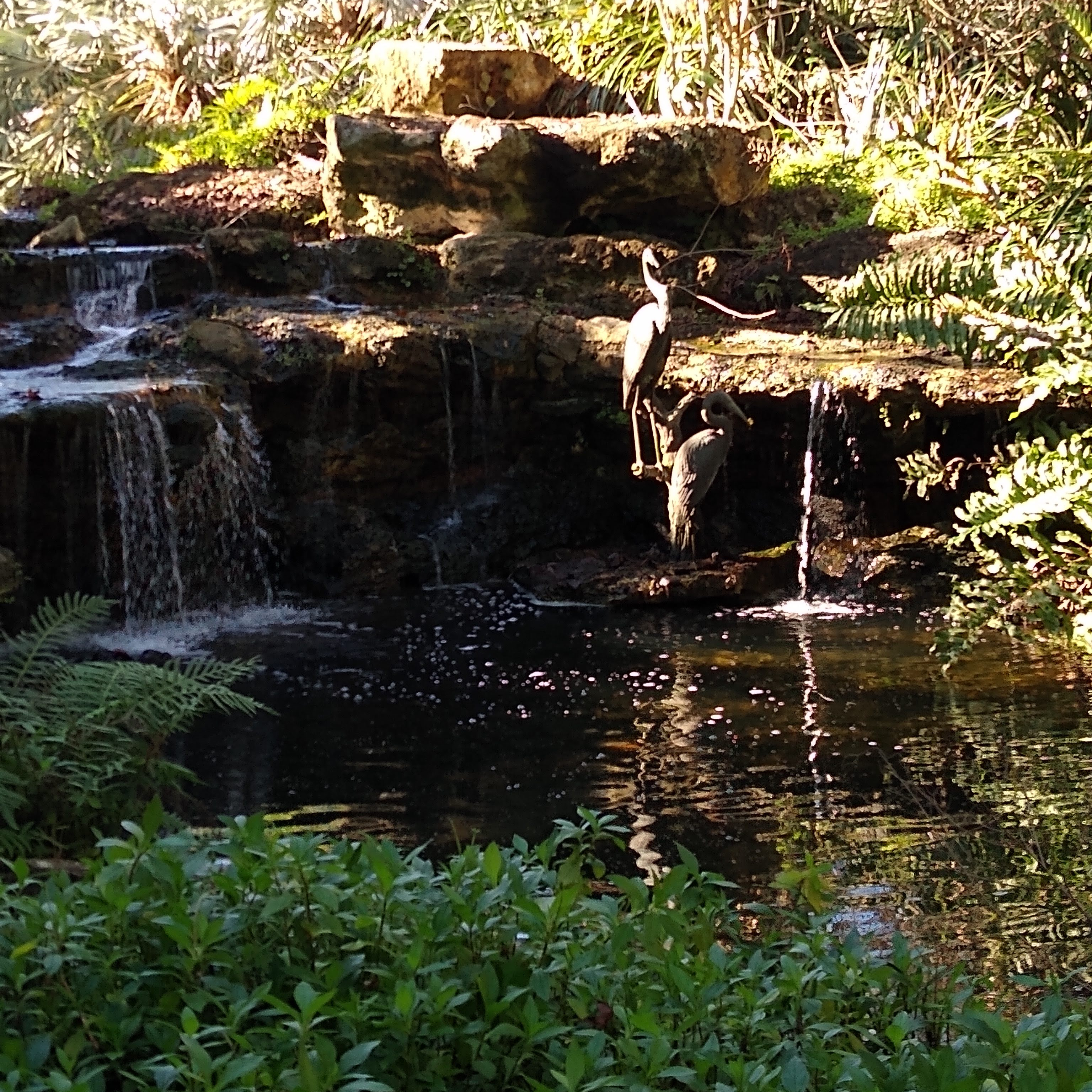 img_20200105_143712396